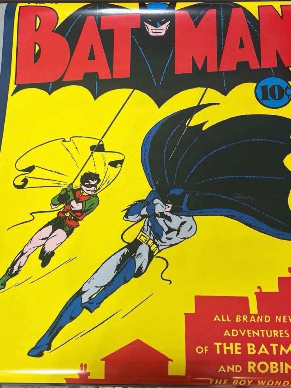 Batman and Robin Poster